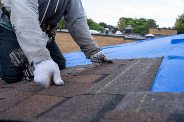 Roof Gutter Cleaning in Pico Rivera, CA